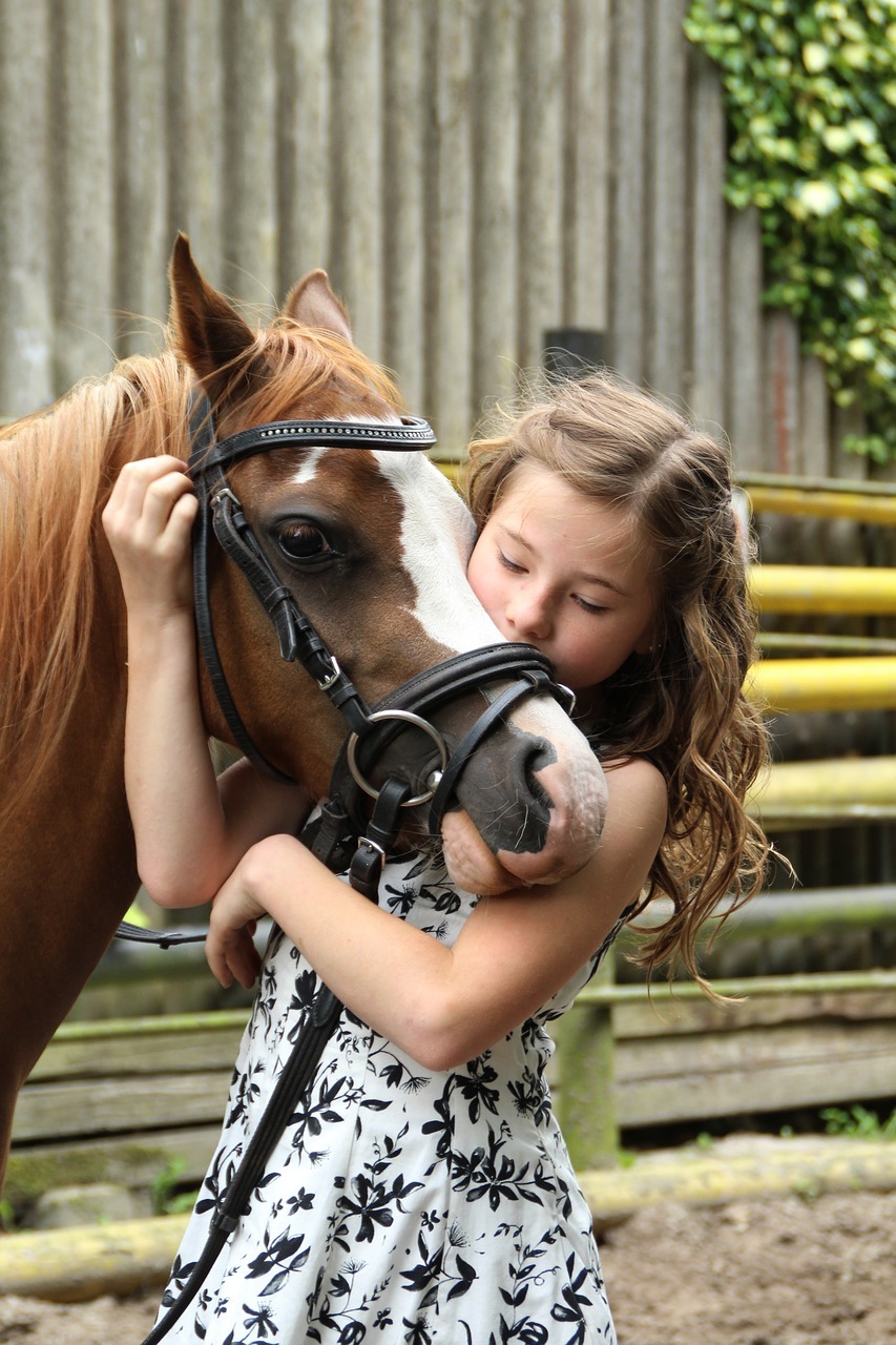 pony, girl, horse-2595144.jpg