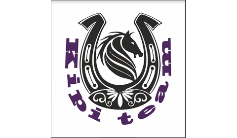 KIPI logo